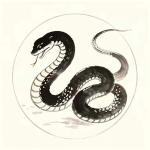 蛇